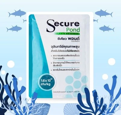 [5-Secure-Pond] Secure Pond Secure Pond