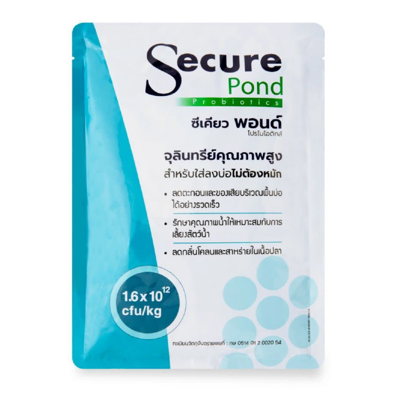 ซีเคียว พอนด์ Secure Pond