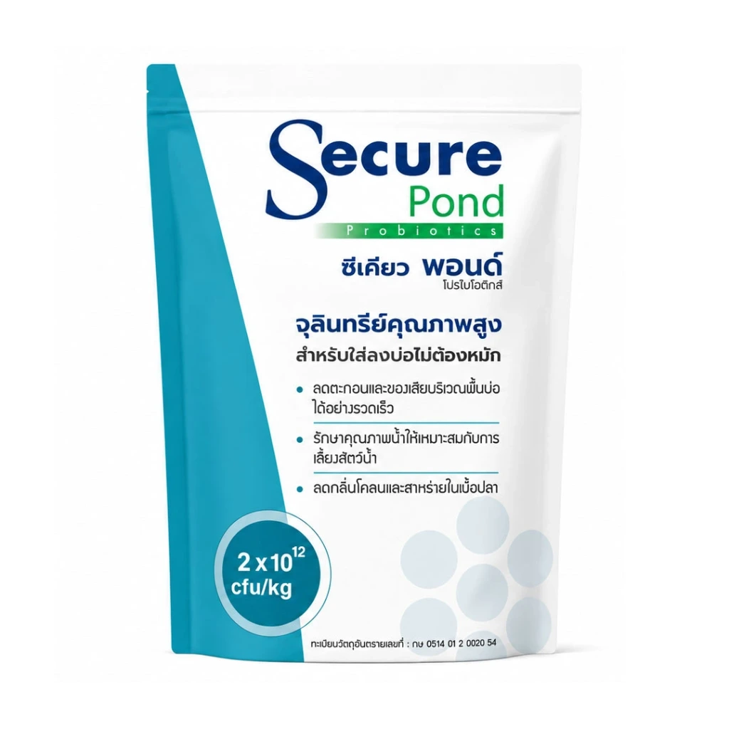 ซีเคียว พอนด์ Secure Pond